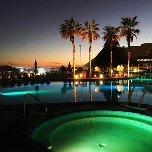 Meet your Posher, Carter